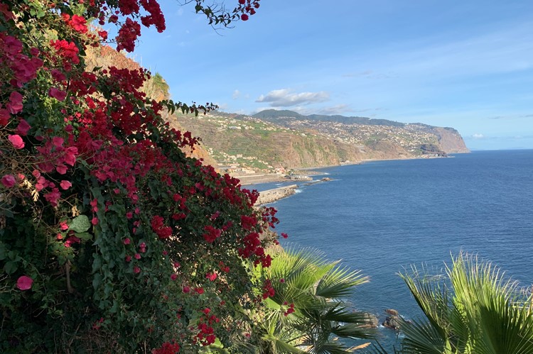 Ponta da Sol, Madeira
